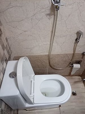 Vistadome