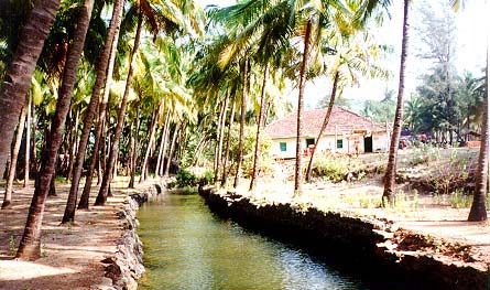 cleanest villages