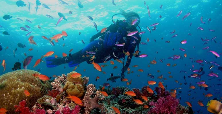 Scuba Diving